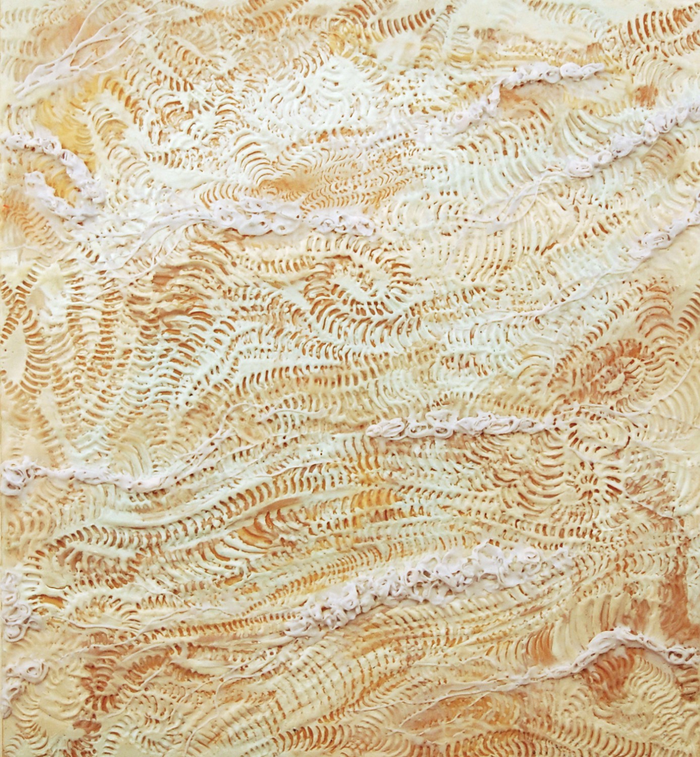 Fossil Plains, 2011, encaustic on panel