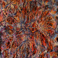Rampage, 2008, encaustic and urethane on panel, 66 x 60 inches