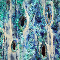 Sea Cells V, 2011, encaustic, glass beads, and urethane on panel