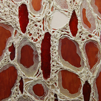 Cells and Sinew, 2013, Encaustic, Ultralight, urethane, dispersions and thread on panel, 66 x 60 inches